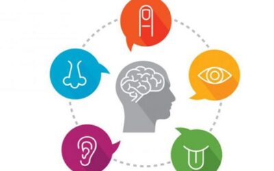 The Power of Sensory Marketing: Engaging Audiences Beyond Sight