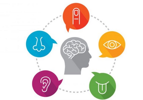 The Power of Sensory Marketing: Engaging Audiences Beyond Sight